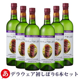 V m YfEGAڂ 720ml 6{Zbg n yRk[{[2024z {C fEGAڂ C Ì {C R Y fEFA Japanese wine k[{
