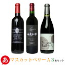 日本ワイン セット【マスカットベリーA 3本セット】送料無料 赤ワイン 甲州ワイン 国産 山梨ワイン ルミエール 白百合醸造 ロリアン シャトー酒折 家飲み 宅飲み 贈り物 手土産 ワイン Japanese wine