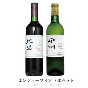 {C  yzW[C 2{Zbgzi720ml×2{jCZbg bBC ԃC C Y R  蕨 yY C Japanese wine