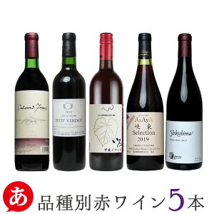 {C ZbgyiʁEԃC 5{Zbgz ԃC bBC Y RC 샏C  ~ V} XY ܂邫 蕨 C Ԍ Japanese wine