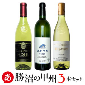 {C Zbgy̍bB 3{Zbgz C {C bBC Y RC S A    ƈ C 蕨 bBs  Japanese wine