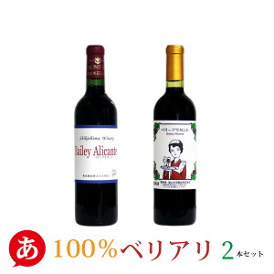 yx[AJgݔ 2{Zbgz CZbg ԃC {C Y R 100xA ~ Rm 蕨 yY C k[H[ Japanese wine