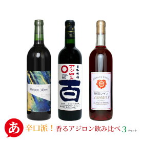 送料無料【辛口派！香るアジロン飲み比べ3本セット】ワインセット 赤ワイン アジロン あじろん 日本ワイン 国産 山梨 マルサン 原茂 Nikkawa Japanese wine