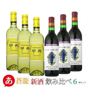 y2025 R Vzy  VgXZgbB Y}XJbgEx[[Aڂ ݔ6{Zbg z CZbg bBC {C Y ԃC C R 