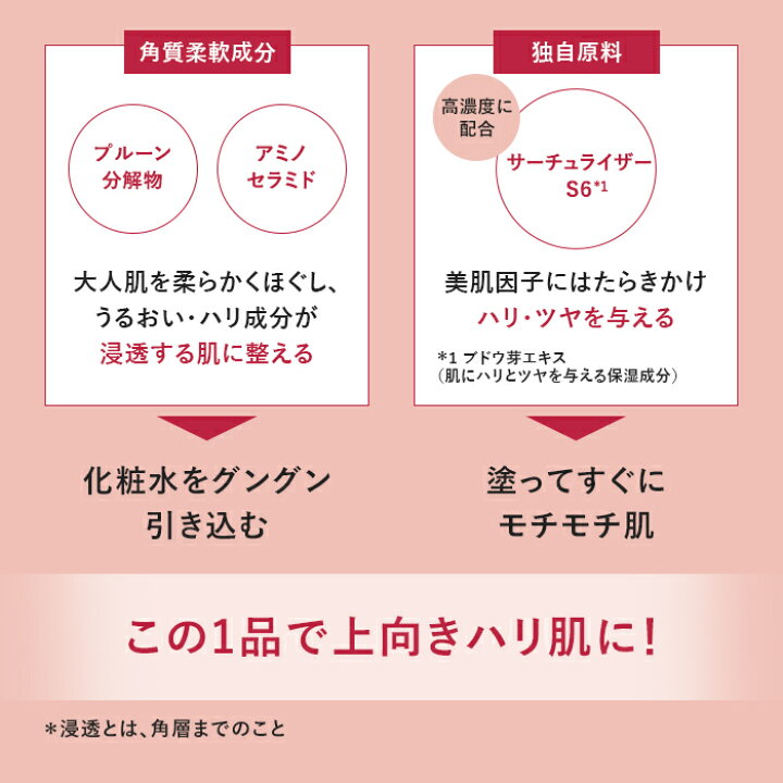 楽天市場】【ポイント10倍！4月24日20:00〜5月7日01:59】プライマー  
