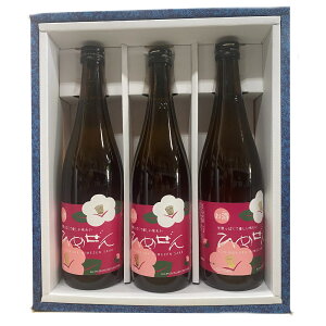 { m Ђ߂ 720ml2{Zbg@Ε@ΕMtg