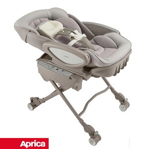 yAbvJznC[xbh`FAY I[g ADYuraLism AUTO ADyNEW202501z