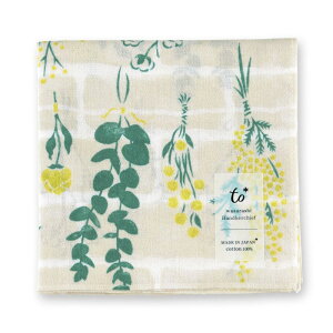 y{{ijiō2860~ȏőLy[zy{{za炵 ͂񂩂 to͂񂩂 hCGift Flower ^Mtgt[y{ Made in Japanz }XN \h ΍yNEW202102