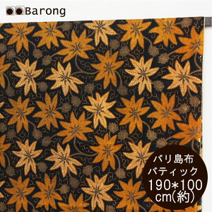 yzooeBbNE190*100cmEBK-011-45 / AWAz oz X Jo[ e[uNX Rbg AWAt@ubN AWAn n z AWAG oG AWA