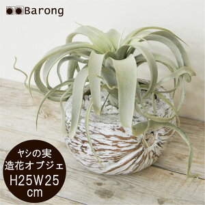 yzCeAO[ GAvc RRibct 25cm / eBWA A[eBtBVt[ tFCNO[ lHϗtA  IuWF t[AW