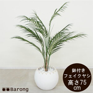 yzlHϗtA V t 75cm / p[ AJp[ CeAO[  A tFCNO[ A[gt[ AWg A[eBtBVt[ Ce