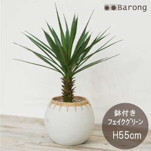 yzlHϗtA X^[TbJe t 55cm / A CeAO[  A tFCNO[ A[gt[ AWg A[eBtBVt[ 