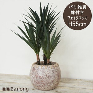 yzlHϗtA bJ t 55cm / CeAO[  A tFCNO[ A[gt[ AWg A[eBtBVt[ CeA ϗtA 