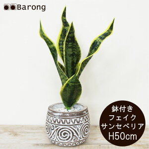 yzTZxA lHϗtA t 50cm / CeAO[  A tFCNO[ A[gt[ AWg A[eBtBVt[ O[AW 