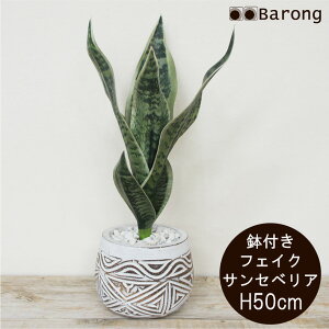 yzTZxA lHϗtA t 50cm / CeAO[  A tFCNO[ A[gt[ AWg A[eBtBVt[ O[AW 