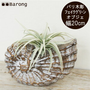 yztFCNO[ oؒIuWF AiCg 20cm / CeAO[ tFCNO[ lHϗtA lHGAvc AWAG oG ][g IuW