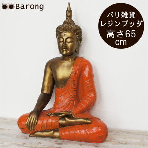 yIzAWAG ub_̃IuWF 65cm l u IuWF AWA IG^ GXjbN AWACeA W