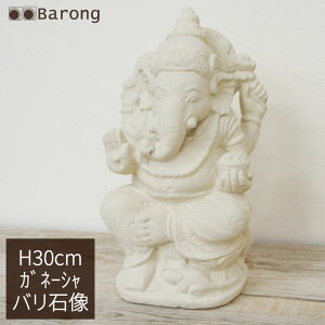 �o���� �Α� �K�l�[�V�� ����30cm �I�t�z���C�g / �A�W�A���C���e���A �G�N�X�e���A �� �K�[�f�j���O �A�W�A���Ƌ� �A�W�A���G�� �� �Z�����g �_�l �q���Y�[ �]�E �ۂ̐_�l �o���G�� �A�W�A��