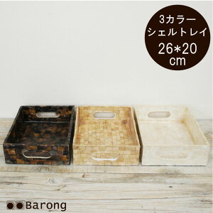 yIzAWAg[ VF 26×20cm 3J[ / AWAg[ gC ~ t[hg[ CeAgC  [ Lk VFG AWAG AWACeA o