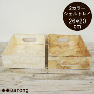 yIzAWAg[ VF 26×20cm 2J[ / AWAg[ gC ~ t[hg[ CeAgC  [ Lk VFG AWAG AWACeA o