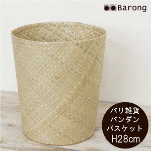 yIzAWA p_ S~ 28cm a26cm / S~ _Xg{bNX ݂΂  ݔ oXPbg JS p_  ꕨ AWAG AWACeA o