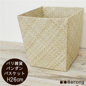 yIzAWA p_ S~ 26cm 25cm / S~ _Xg{bNX ݂΂  ݔ oXPbg JS p_  ꕨ AWAG AWACeA oG