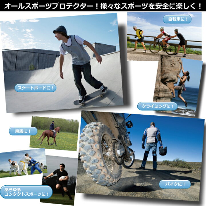 楽天市場】スノーボード スキー バックプロテクター 脊椎パッド 胸部 