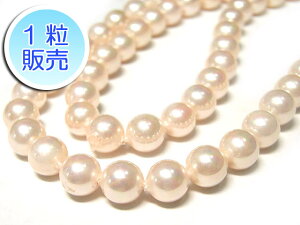 VFp[ sN Eh 6mm y1̔z ^ r[Y VR Lp[ Lk ANZT[p[c nhCh DIY