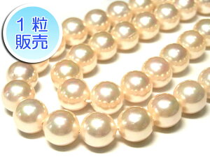 VFp[ sN Eh 10mm y1̔z ^ r[Y VR Lp[ Lk ANZT[p[c nhCh DIY