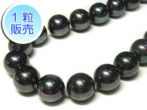 VFp[ ubN Eh 12mm y1̔z ^ r[Y VR Lp[ Lk ANZT[p[c nhCh DIY