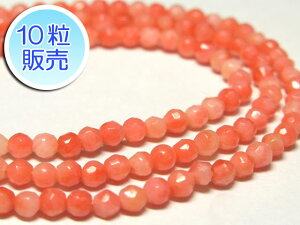 Xr[Y sN 3`4mm y10̔z EhJbg^ coral p[Xg[ ANZT[p[c nhCh