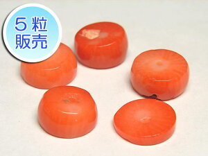 TSr[Y F 10×5mm y5̔z p[Xg[ r[Y }֐؂^ (XF)  TS R[ RX C| ANZT[p[c nhCh DIY