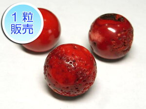 TSr[Y ^g 25mm y1̔z p[Xg[ r[Y Eh (XF)  TS R[ RX C| ANZT[p[c nhCh DIY