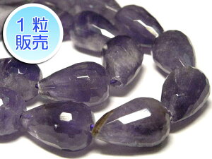 AWXg 16×10mm y1̔z p[Xg[ r[Y hbv^ (VRΉM)  ANZT[p[c nhCh DIY