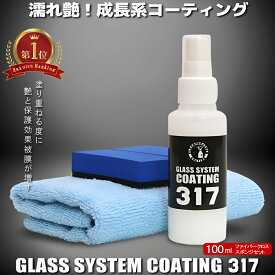 コーティング剤 車 コーティング剤 317 （100mlクロスセット）簡易コーティング ランキング スプレーコーティング 撥水 ガラスコーティング バイク 洗車 耐久 紫外線 UV 透明 ツヤ 艶 保護 最強 濡れ艶 コート ワックス 車 洗車 簡単 メンテナンス 日本製 送料無料