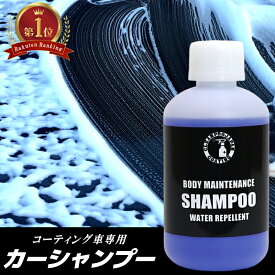 ランキング1位 カーシャンプー 新車 泡 泡立ち 濃厚 ジェル 中性シャンプー メンテナンス 洗車 コーティング施工車 人気 おすすめ ワックスシャンプー 撥水効果 保護 光沢 撥水 全塗装色対応 クリーンプロジャパン