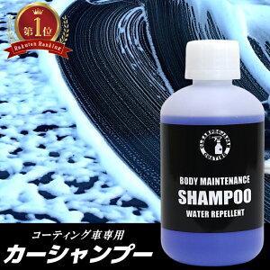 ランキング1位 カーシャンプー 新車 泡 泡立ち 濃厚 ジェル 中性シャンプー メンテナンス 洗車 コーティング施工車 人気 おすすめ ワックスシャンプー 撥水効果 保護 光沢 撥水 全塗装色対応
