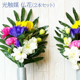 楽天市場 デルフィニウム 花束の通販