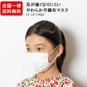 女性用 マスク 通販 価格比較 価格 Com