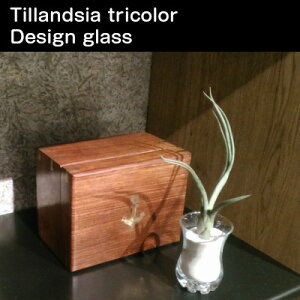 yz GA[vc GAvc xCC 10cmx fUC OX 荻t `WA CeA Ƌ G lC Ă₷ A T{e ([vcX^WI)