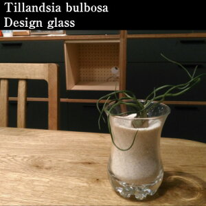 yz GA[vc GAvc u{[T 5cmx fUC OX 荻t `WA u{T CeA Ƌ G lC Ă₷ A T{e ([vc