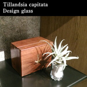 yz GA[vc GAvc Js^[^ 5cmx fUC OX 荻t Js^^ `WA CeA Ƌ G a lC Ă₷ A T{e ([v