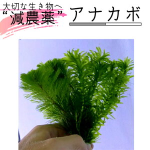 yS z AiJ{1iAiJX5{ J{o5{j15cmx _ ς ( _J  Mы Obs[ ANAE Mtg j j v[g ) ([v