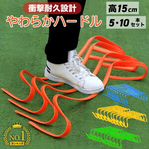 ~jn[h 炩n[h ~j n[h \tg~jn[h Wvg[jO 15cm 5 10 {n[h hbO AWeBg[jO  K _炩  g[j