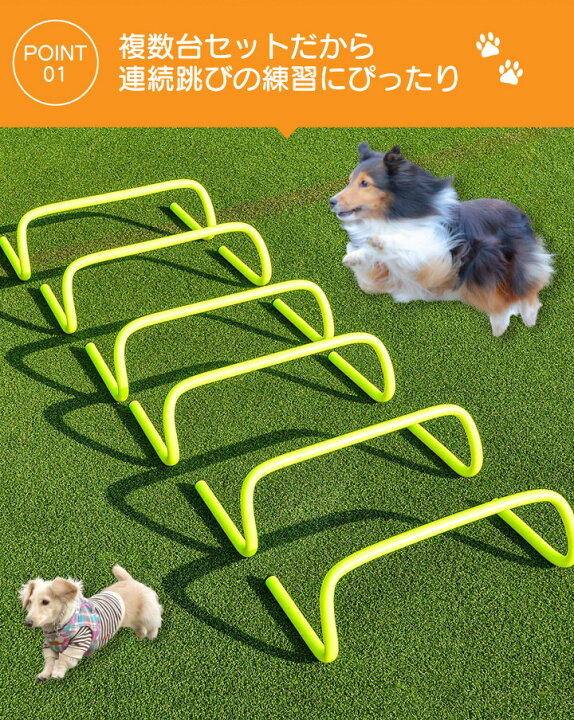 楽天市場】ミニハードル ハードル ジャンプトレーニング アジリティ 犬 