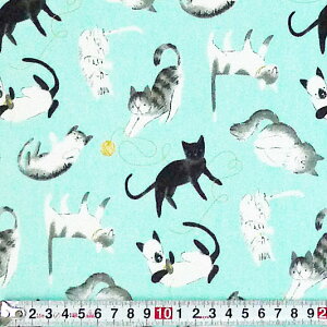 CW-3291 ʉ̗lȃlR gX/Cgu[ Rbgvgn