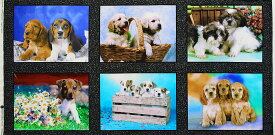 WF-4041 写真の様な子犬 デジタル・プリント/パネル 110*54 未完成品 コットンプリント生地
