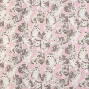 qL̃Rbgvgn g̎qL I[I[o[/sN/IbNXtH[h 53*50 YW-4269