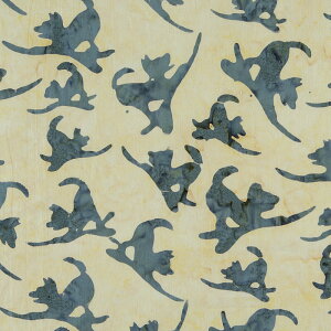 FWD-4286 T[tBlR oeBbN/x[W Rbgvgn