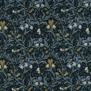 X xXgEIuEX ACX mg[/lCr[ MO-4435 Rbgvgn